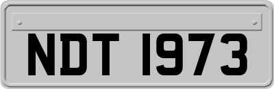 NDT1973