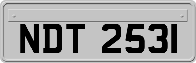 NDT2531