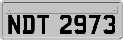 NDT2973