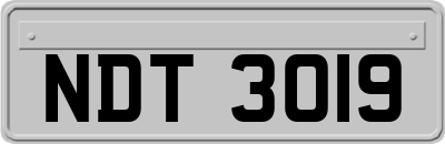 NDT3019