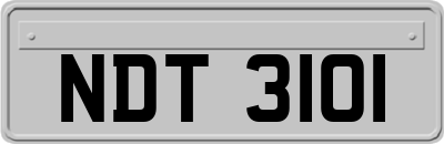 NDT3101