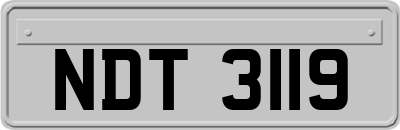 NDT3119