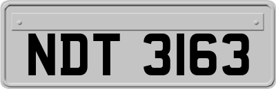 NDT3163