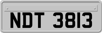 NDT3813