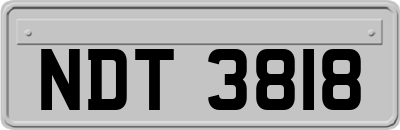 NDT3818