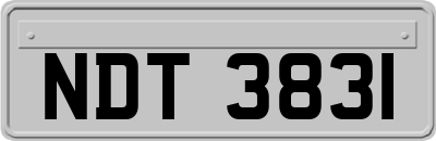 NDT3831