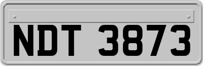 NDT3873