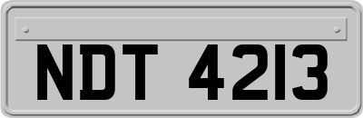 NDT4213