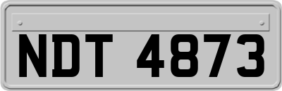 NDT4873