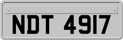 NDT4917
