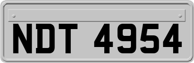 NDT4954