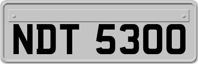 NDT5300