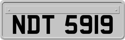 NDT5919