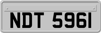 NDT5961
