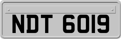 NDT6019