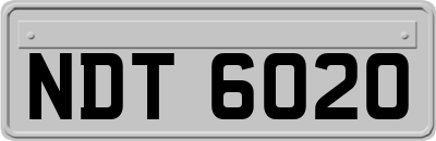 NDT6020