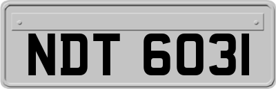 NDT6031