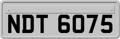 NDT6075