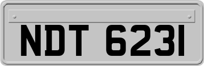 NDT6231