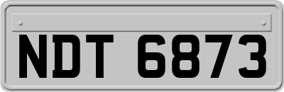 NDT6873