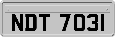 NDT7031