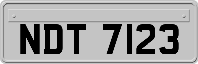 NDT7123
