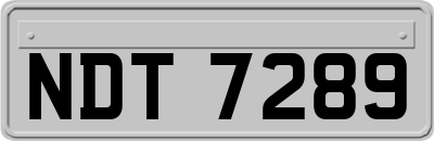 NDT7289