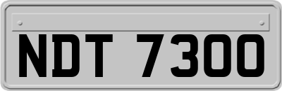 NDT7300