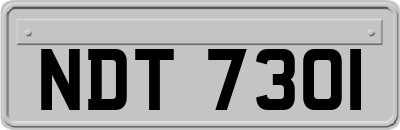 NDT7301