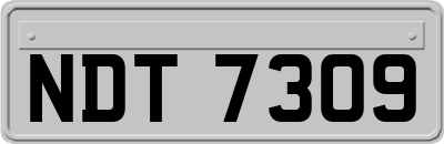 NDT7309