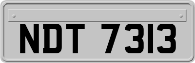NDT7313