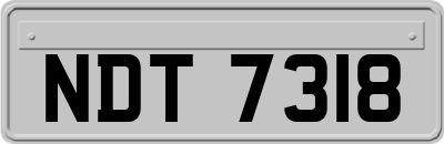 NDT7318