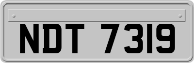 NDT7319