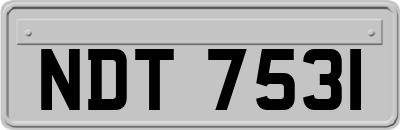 NDT7531