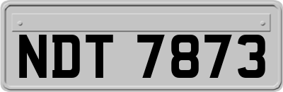 NDT7873