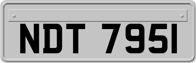 NDT7951