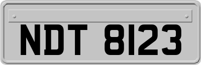 NDT8123