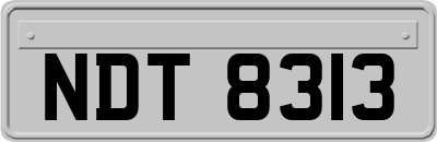 NDT8313