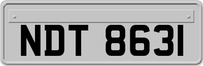 NDT8631