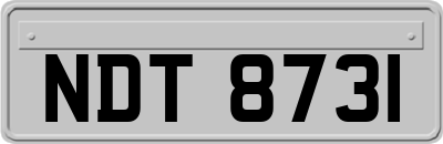 NDT8731