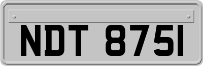 NDT8751