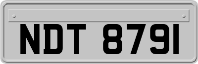 NDT8791