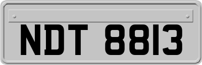 NDT8813