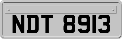 NDT8913