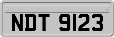 NDT9123