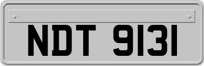 NDT9131