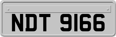 NDT9166