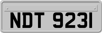 NDT9231