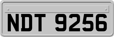 NDT9256