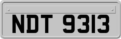 NDT9313